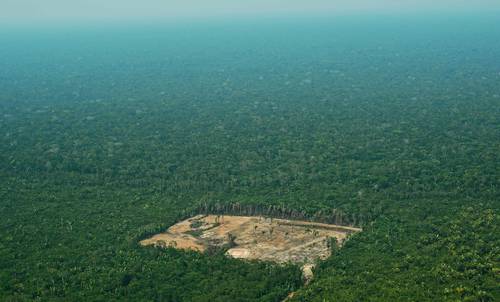 record-de-deforestation-en-amazonie-bresilienne